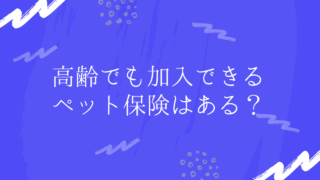 ペット保険の加入条件は 持病があっても入れる ペット保険のトリセツ