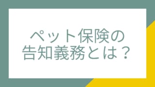 ペット保険の加入条件は 持病があっても入れる ペット保険のトリセツ