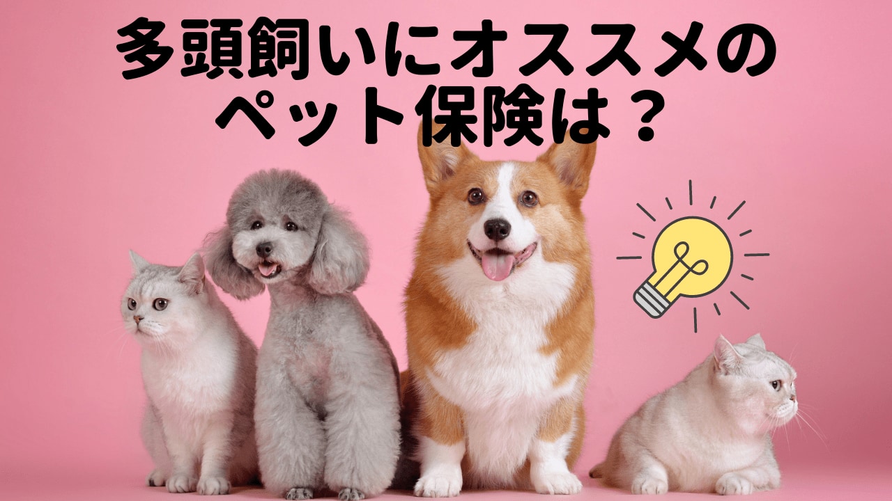 多頭飼いにオススメのペット保険は お得な割引プランもご紹介 ペット保険のトリセツ