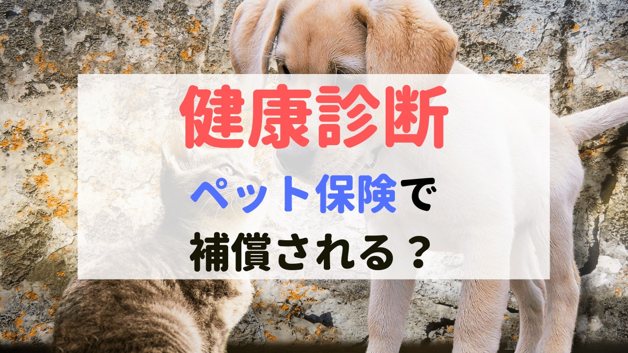 犬や猫の健康診断にかかる費用はペット保険の対象外!診断項目や費用と