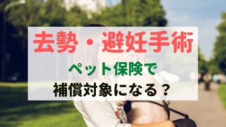 多頭飼いにオススメのペット保険は？お得な割引プランもご紹介｜ペット 