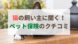 猫のペット保険を徹底比較 あなたのペットにオススメの選び方は ペット保険のトリセツ