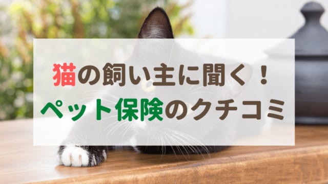 ペット保険の補償対象外とは 保険金が支払われないのはどんなとき ペット保険のトリセツ