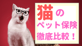 ペット保険の補償対象外とは 保険金が支払われないのはどんなとき ペット保険のトリセツ