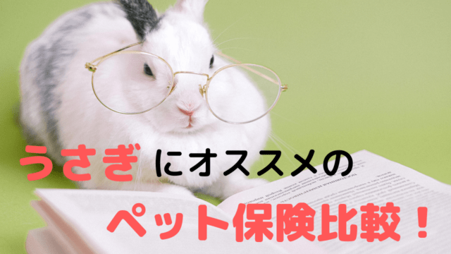 猫のペット保険を徹底比較 あなたのペットにオススメの選び方は ペット保険のトリセツ