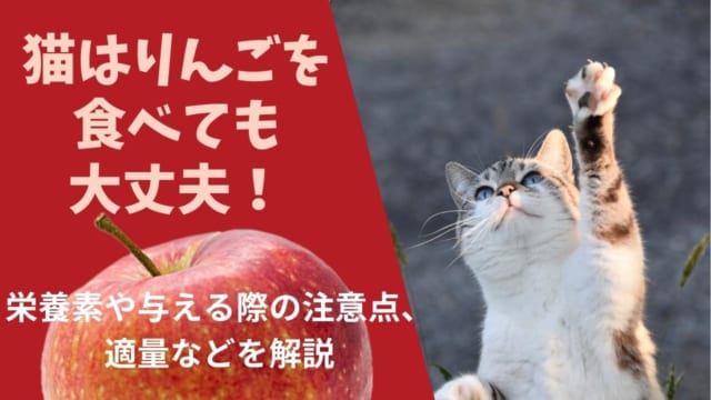 猫にエビを与えるのはng 与える危険性や身体に影響を及ぼす成分を徹底解説 ペット保険のトリセツ