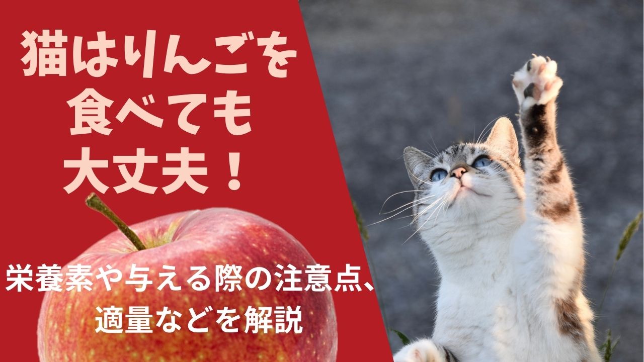 猫はりんごを食べても大丈夫 栄養素や与える際の注意点 適量などを解説 ペット保険のトリセツ
