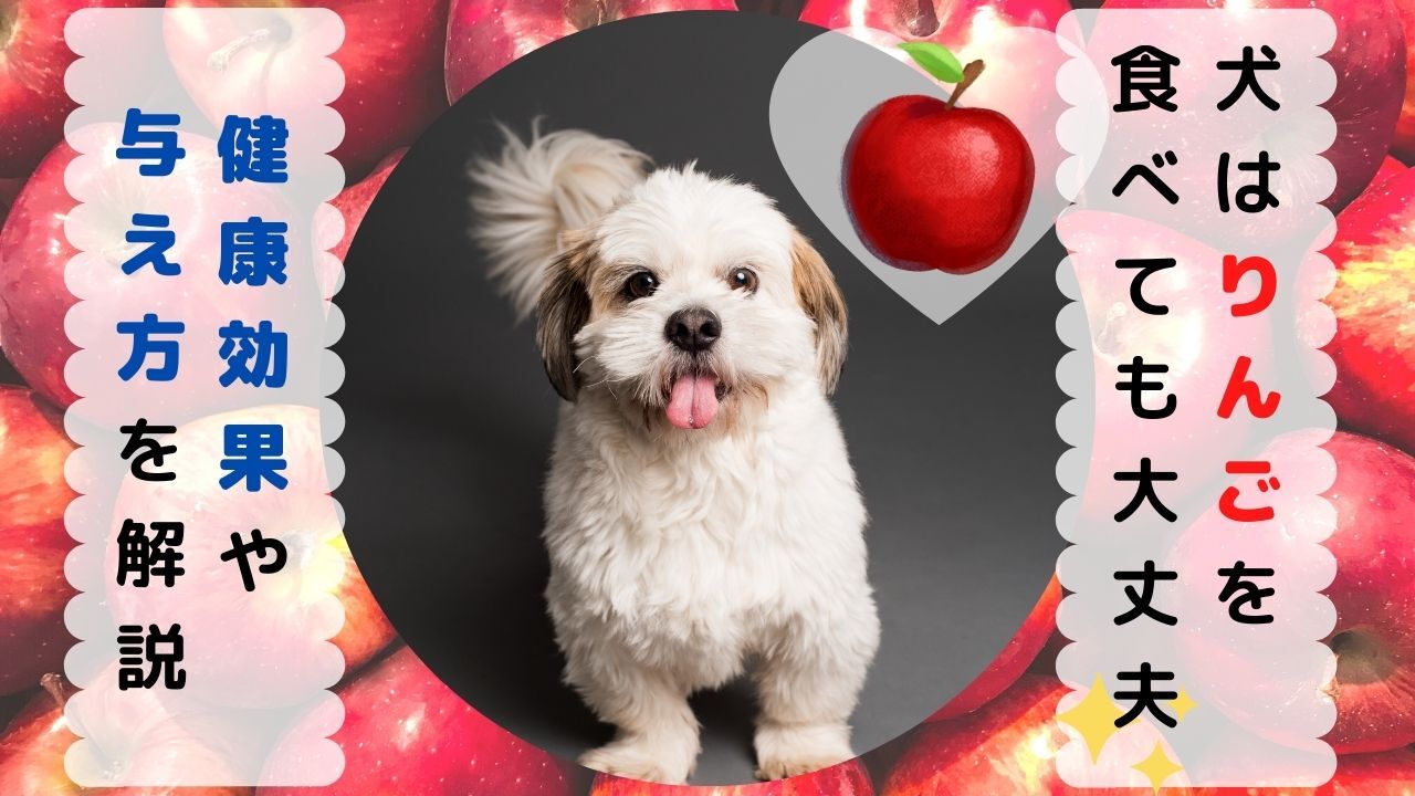 犬はりんごを食べられる りんごがもたらす健康効果や与え方のポイントを解説 ペット保険のトリセツ