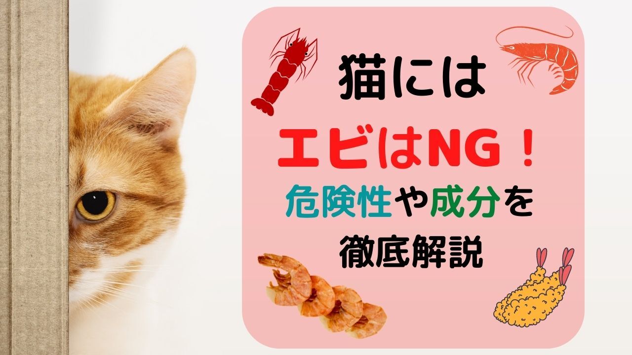 猫にエビを与えるのはng 与える危険性や身体に影響を及ぼす成分を徹底解説 ペット保険のトリセツ