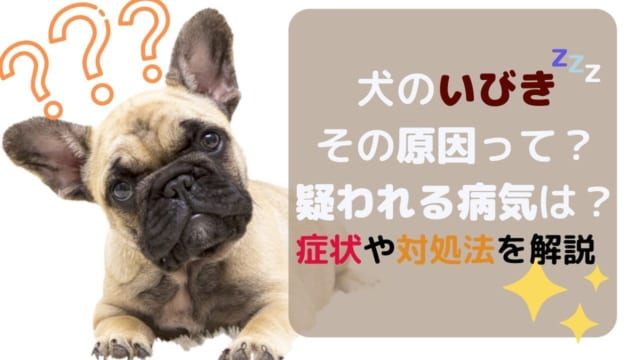 獣医師監修 犬の嘔吐は危険な病気のサインである可能性も 原因や症状とあわせてペット保険について解説 ペット保険のトリセツ