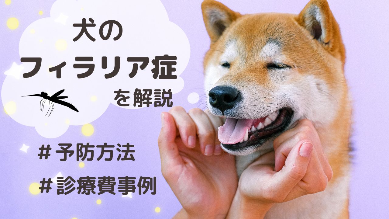 獣医師監修 犬のフィラリア症の特徴や症状 投薬をはじめとした予防方法を診療費の事例とあわせて解説 ペット保険のトリセツ