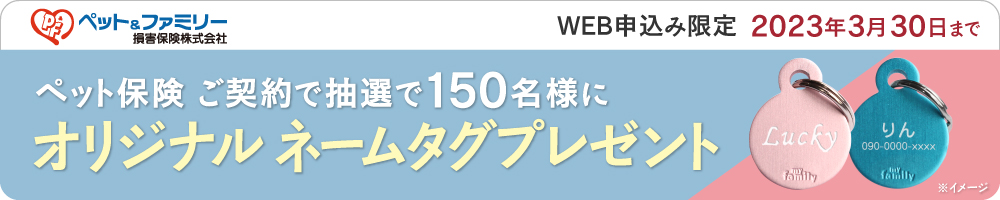ペットアンドファミリー＿キャンペーンバナー