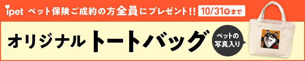 アイペットキャンペーンバナー