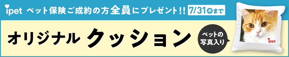アイペットキャンペーンバナー