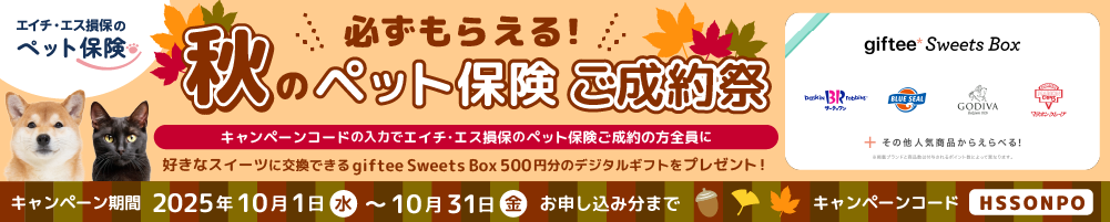 エイチ・エス損保キャンペーンバナー