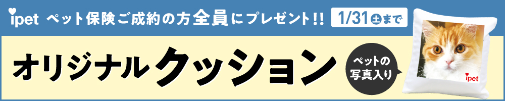 アイペットキャンペーンバナー