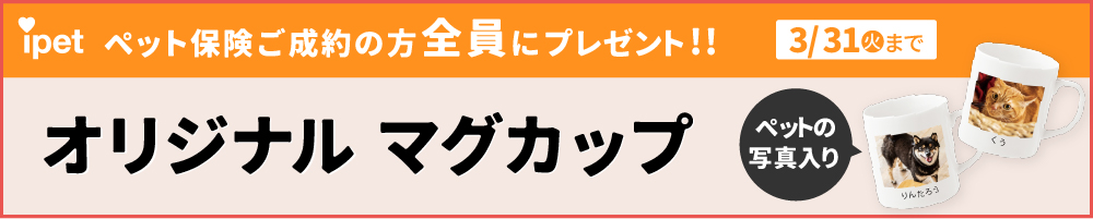 アイペットキャンペーンバナー