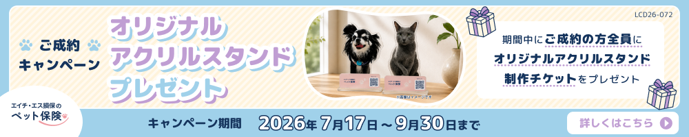 エイチ・エス損保キャンペーンバナー