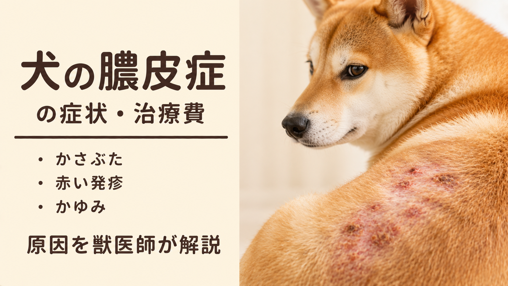 犬の膿皮症の症状・治療費｜かさぶた・赤い発疹・かゆみの原因を獣医師